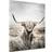 Estancia Highland Cattle Tavla 75x100cm