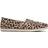 Toms Alpargata - Beige Classic Leopard