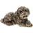 Bronze Lying Cockapoo Ornament Boxed Figurine