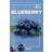 The Saem Natural Mask Sheet Blueberry Revitalising Cloth Face Mask