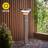 Halton 50cm Photocell Bollard