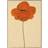 Paper Collective Orange Vallmo Poster 50x70cm