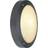 SLV Bulan Anthracite Wall Flush Light 27cm