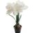 Mr Plant Amaryllis - Hvid Kunstig plante