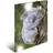 Herma Sammelmappe A4 Glossy Koala Polypropylen