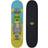 Schildkröt Skate Kicker 31