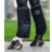 Waldhausen Bandage Pad