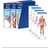 Atlas of Anatomy, Latin Nomenclature, Three Volume Set, Third Edition (Indbundet, 2021)