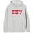 Levi's Kid's Batwing Screenprint Hoodie - Gray Heather/Grey