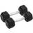 vidaXL Hantlar 2 st 10 kg gjutjärn