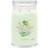 Yankee Candle Cucumber Cooler Mint Doftljus 567g