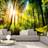 Artgeist fototapet Forest Hideout, smuk skov (flere størrelser) 300x210
