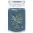 Yankee Candle Bayside Cedar stearinljus Cylinder Fräsch Doftljus