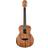 Washburn WCGM55K-D