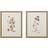 Martha Stewart French Herbarium Framed Art 45.7x55.9cm 2pcs