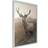 Arkiio Affisch Deer in Sepia Poster