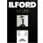 Ilford Galerie Gold Fibre Pearl 290G A4