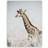 Estancia Giraffe Tavla 50x70cm
