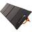 Lippa LPSP100 100W