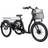 Evobike Flex Tricycle Unisex