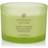 Chesapeake Bay Candle Lemongrass Eucalyptus Doftljus 312g