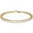 Swarovski Matrix Tennis Bracelet - Gold/Transparent