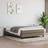 vidaXL Pocketresårmadrass taupe 140x200x20 Boxmadras