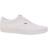 Vans Doheny M - White