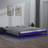 vidaXL LED Bed Frame Grey 135 x 190 cm Double Solid Wood