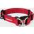 Ezydog Double Up Collar R