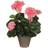 Mica Decorations Dekorativ PVC Geranium 11.5 x 33 cm Kunstig plante