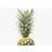 Bildverkstad Pineapple Poster 50x70 Plakat