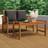 vidaXL 2 Piece Garden with Dark Grey Cushions Outdoor Lounge Set