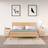 vidaXL Cabinets 2 Pine Bedside Table
