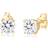 Elli Sparkling Round Earrings - Silver