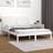 vidaXL Uden Madras 160x200 cm Massivt Fyrretræ Hvid Sengeramme