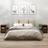 vidaXL Cabinets 2 Honey Pine Bedside Table