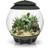 Biorb Air 30 Terrarium