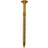 GRK Fasteners RSS-185 10 by 3-1/8-Inch Structural Screws 50 Screws per Package