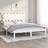 vidaXL white, 140 Solid Wood Bed Frame