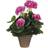 Mica Decorations Dekorativ PVC Geranium 11.5 x 33 cm Kunstig plante