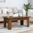 vidaXL 100 x 60 x 42 cm Konstrueret Træ Sofabord