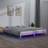 vidaXL led Bed Frame