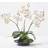 Homescapes 38cm Lifelike White Orchid Artificial Plant