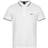 HUGO BOSS Paddy Polo Shirt in Cotton Piqué - White