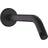 Hansgrohe Standard 9 Inch Extended Length Wall Mount Showerhead