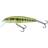 Salmo Minnow 70 Mm 8g Multicolor
