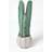 Homescapes Hylcocereus Artificial Cactus Lantern