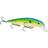 Strike King Unisex-Erwachsene KVD Jerkbait 3 Hook,Pro Citrus Shad Angelköder, 0.05