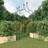 vidaXL Garden Arches 2 Pcs Black 120x38x260 cm
